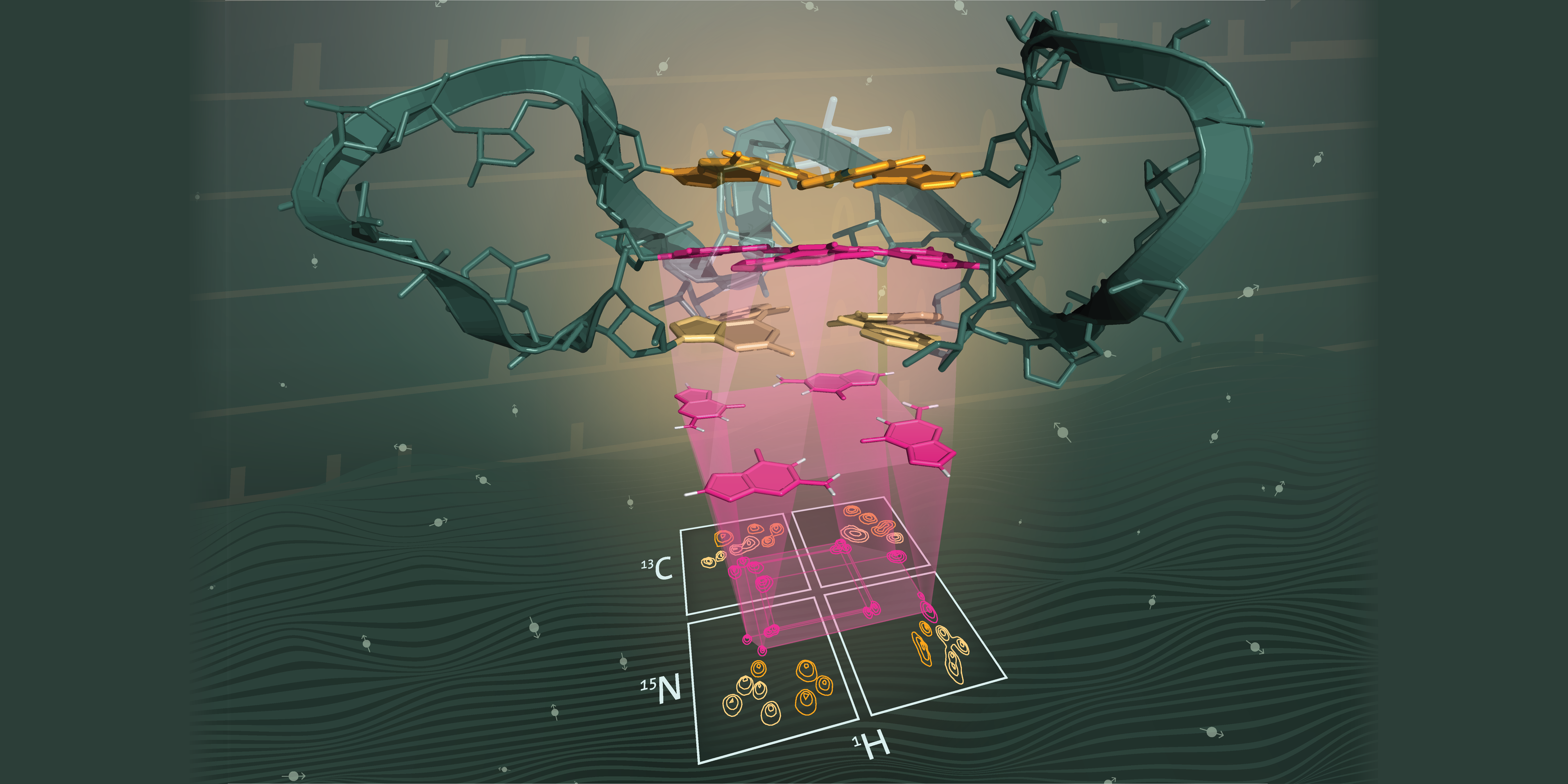 Research Sigel Group